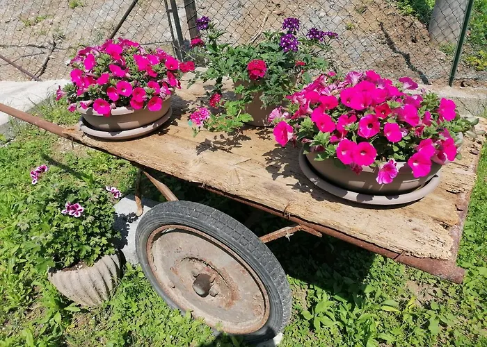 Colombare Teboi Apartament