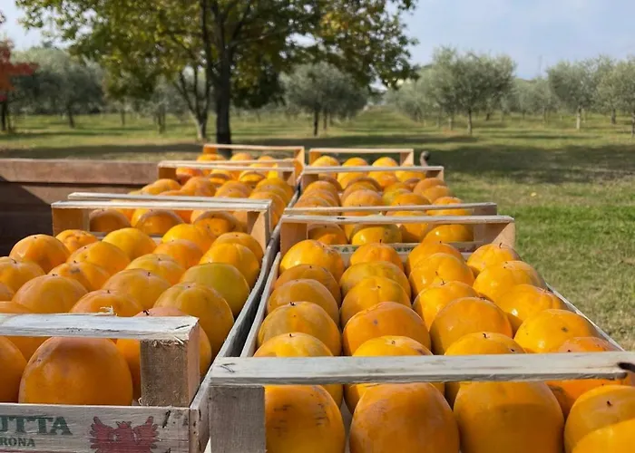 Colombare Teboi Lazise