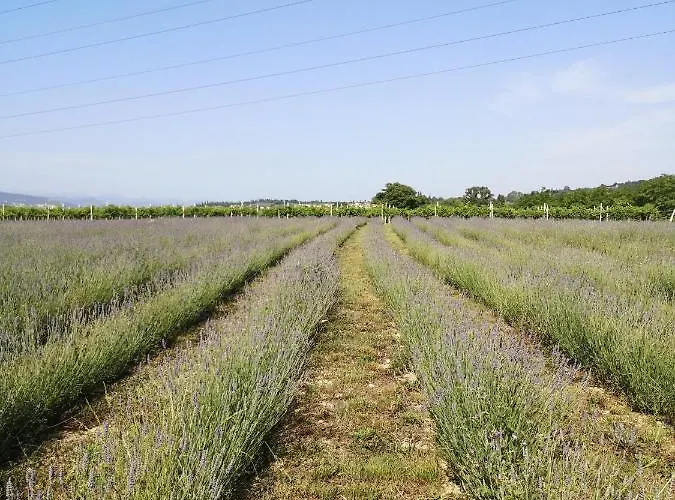 Colombare Teboi Apartament Lazise