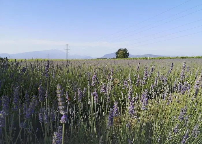Apartament Colombare Teboi *
