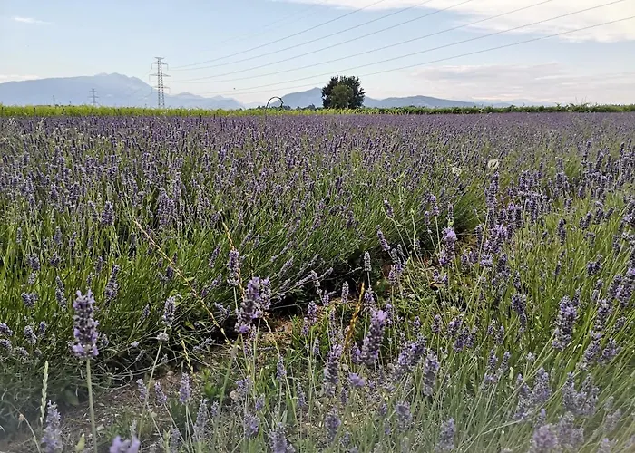 Colombare Teboi Apartament