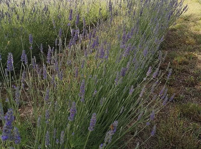 Colombare Teboi Apartament *